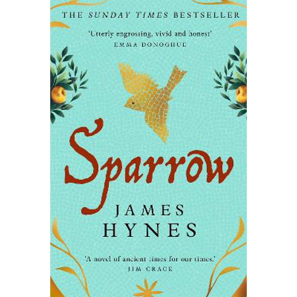 Sparrow: The Sunday Times Top Ten Bestseller (Paperback) - James Hynes